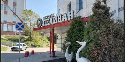 Фото 1 площадки Пеликан